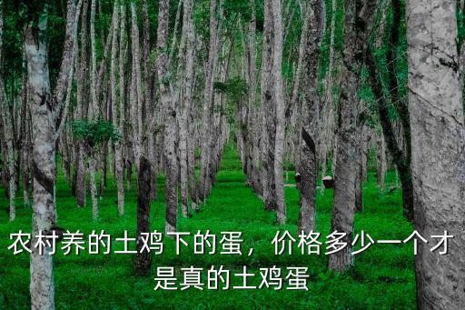 農(nóng)村養(yǎng)的土雞下的蛋，價(jià)格多少一個(gè)才是真的土雞蛋