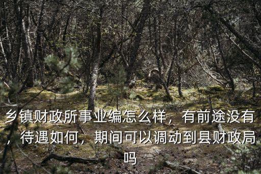 鄉鎮財政所事業編怎么樣，有前途沒有，待遇如何，期間可以調動到縣財政局嗎