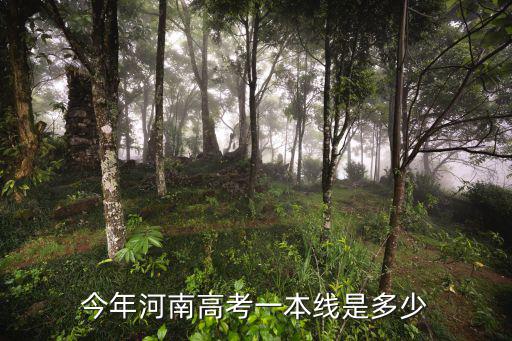 2017河南一本率是多少,河南理科生想上一本大學