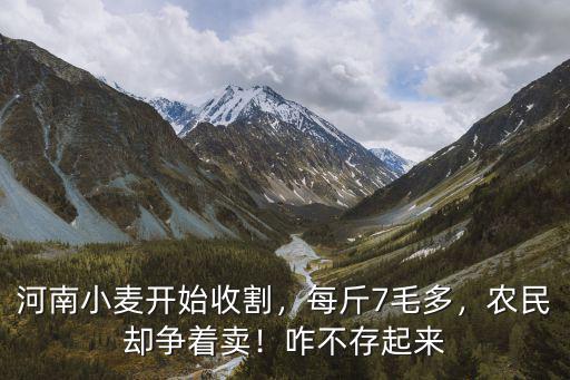 河南小麥開始收割，每斤7毛多，農(nóng)民卻爭(zhēng)著賣！咋不存起來