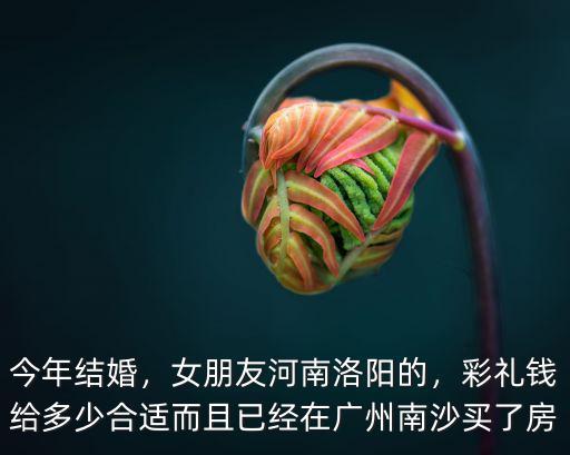 今年結婚，女朋友河南洛陽的，彩禮錢給多少合適而且已經在廣州南沙買了房