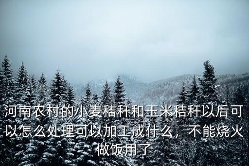 河南農村的小麥秸稈和玉米秸稈以后可以怎么處理可以加工成什么，不能燒火做飯用了