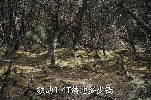 開封地區(qū)領(lǐng)動低配多少錢落地,領(lǐng)動1.4T落地多少錢