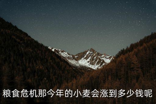 糧食危機那今年的小麥會漲到多少錢呢