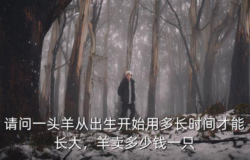 請問一頭羊從出生開始用多長時間才能長大，羊賣多少錢一只