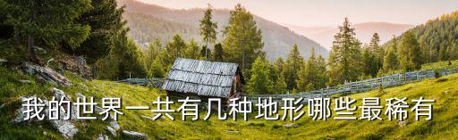 我的世界一共有幾種地形哪些最稀有