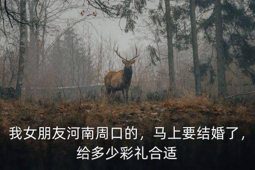 我女朋友河南周口的，馬上要結婚了，給多少彩禮合適