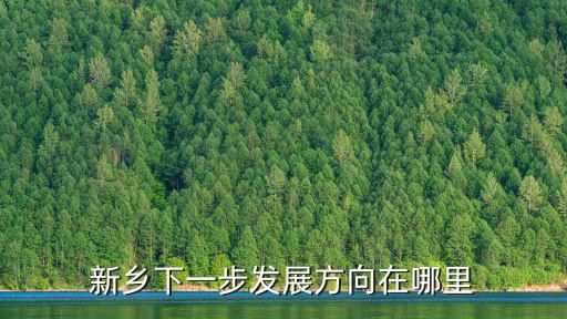 新鄉下一步發展方向在哪里