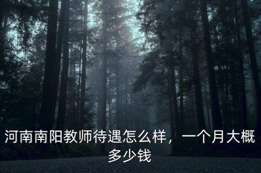 河南南陽教師待遇怎么樣，一個月大概多少錢