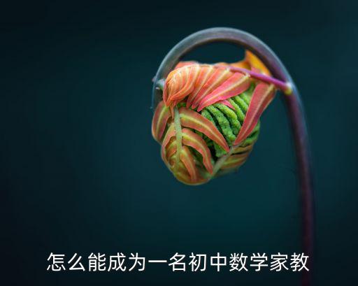 周口初中數(shù)學家教怎么樣,初中數(shù)學需要補課嗎