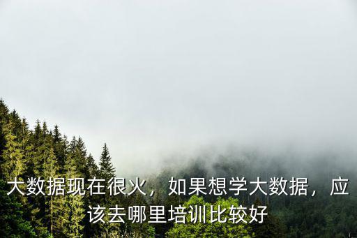 大數(shù)據(jù)現(xiàn)在很火，如果想學大數(shù)據(jù)，應該去哪里培訓比較好