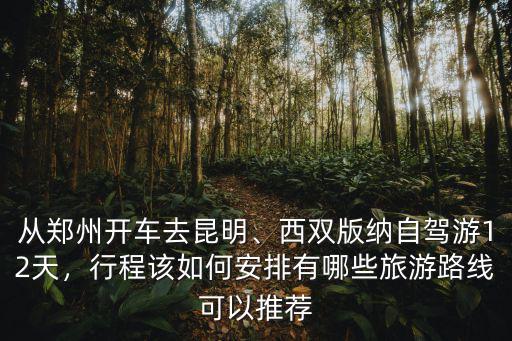 從鄭州開車去昆明、西雙版納自駕游12天，行程該如何安排有哪些旅游路線可以推薦