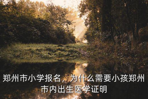 鄭州市小學報名，為什么需要小孩鄭州市內出生醫學證明
