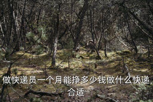做快遞員一個月能掙多少錢做什么快遞合適