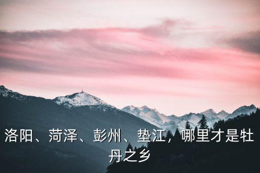 洛陽、菏澤、彭州、墊江，哪里才是牡丹之鄉