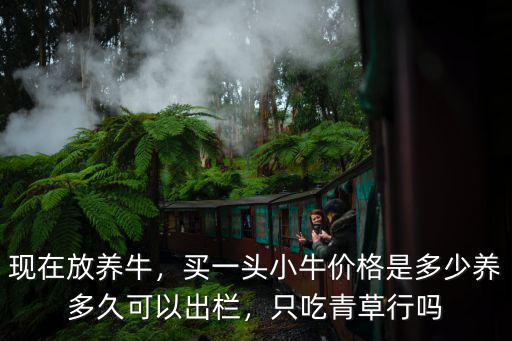 現在放養牛，買一頭小牛價格是多少養多久可以出欄，只吃青草行嗎