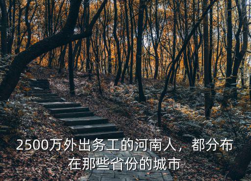 2500萬(wàn)外出務(wù)工的河南人，都分布在那些省份的城市