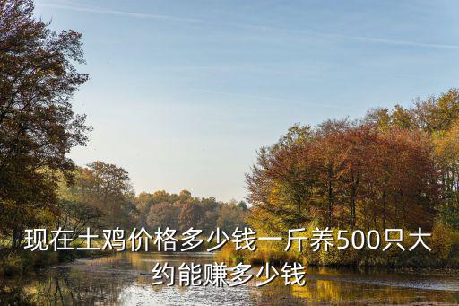 現(xiàn)在土雞價(jià)格多少錢一斤養(yǎng)500只大約能賺多少錢