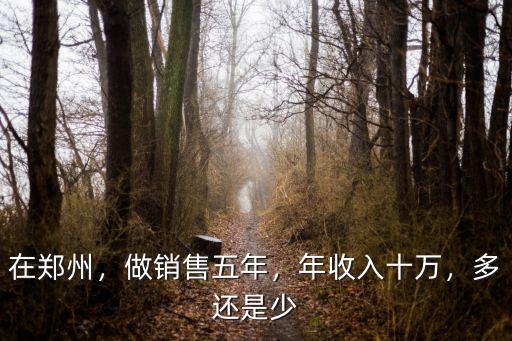 在鄭州，做銷售五年，年收入十萬，多還是少