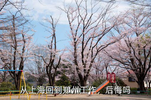 從上海回到鄭州工作，后悔嗎
