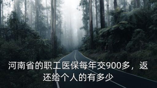 河南省的職工醫(yī)保每年交900多，返還給個(gè)人的有多少