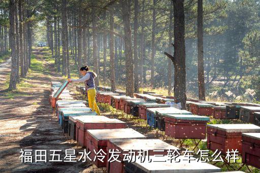 許昌市福田五星三輪車在哪里,福田五星三輪摩托車
