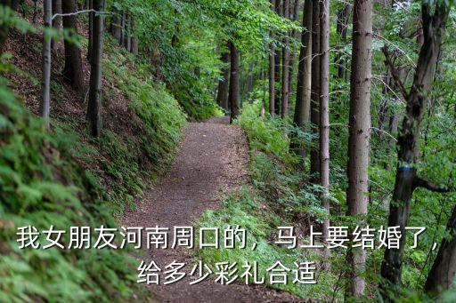 我女朋友河南周口的，馬上要結婚了，給多少彩禮合適