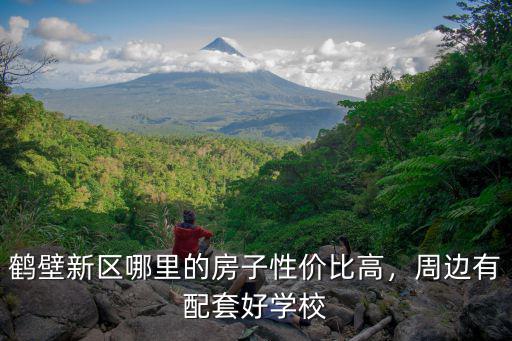 鶴壁新區(qū)哪里的房子性價(jià)比高，周邊有配套好學(xué)校