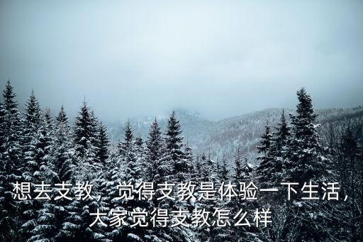 想去支教，覺得支教是體驗一下生活，大家覺得支教怎么樣