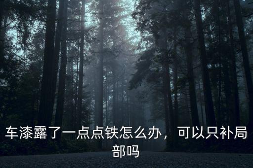 新鄉哪里可以局部修補車漆,可以只補局部嗎