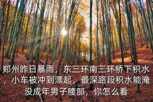 鄭州昨日暴雨，東三環南三環橋下積水，小車被沖到漂起，最深路段積水能淹沒成年男子腰部，你怎么看