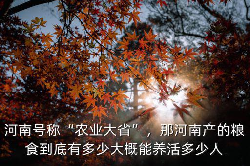 河南農行多少人,那河南產的糧食到底有多少