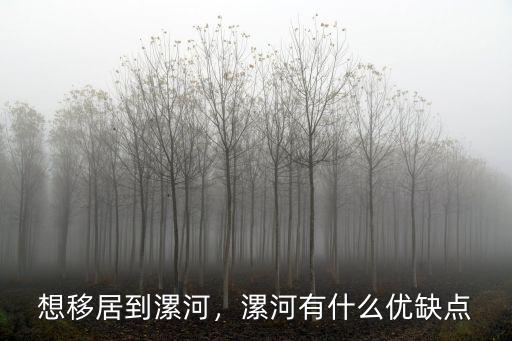 漯河老太太有多少,漯河有什么優缺點