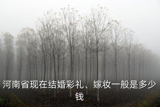 河南省現在結婚彩禮、嫁妝一般是多少錢