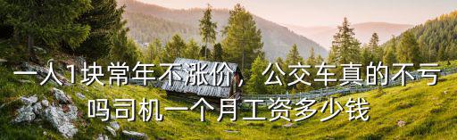 一人1塊常年不漲價，公交車真的不虧嗎司機一個月工資多少錢
