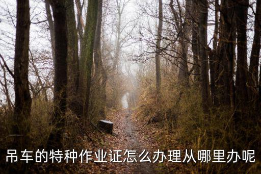 新鄉(xiāng)履帶吊操作證到哪里辦,哪里辦操作證