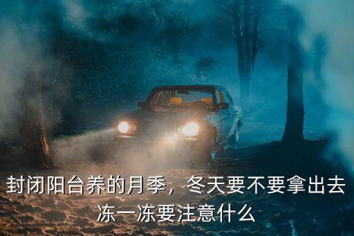 封閉陽臺養的月季，冬天要不要拿出去凍一凍要注意什么