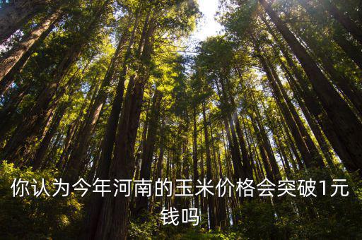 河南今年玉米價格會達到多少,今年河南多地受災嚴重