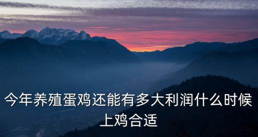 鶴壁市蛋雞養(yǎng)殖哪里多,今年養(yǎng)殖蛋雞還能有多大利潤