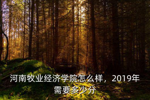 河南牧業(yè)經(jīng)濟學(xué)院怎么樣，2019年需要多少分