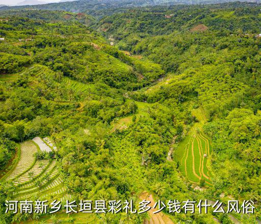 河南新鄉長垣縣彩禮多少錢有什么風俗