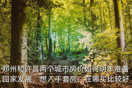 鄭州和許昌兩個城市房價如何明年準備回家發展，想入手套房，在哪買比較好