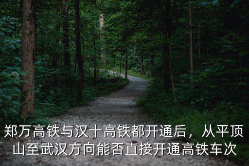 鄭萬高鐵與漢十高鐵都開通后，從平頂山至武漢方向能否直接開通高鐵車次