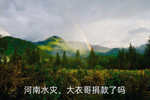 2021河南水災少林寺捐款多少,河南水災少林寺捐款了嗎