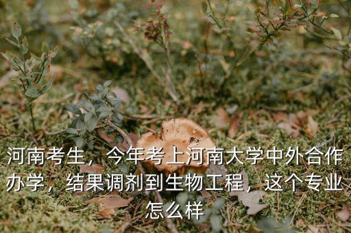 河南考生，今年考上河南大學(xué)中外合作辦學(xué)，結(jié)果調(diào)劑到生物工程，這個專業(yè)怎么樣