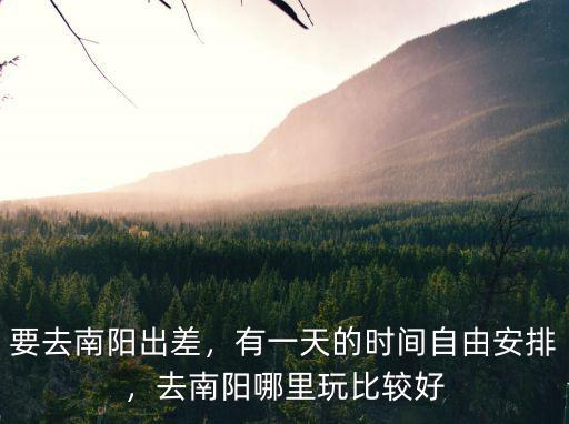 要去南陽(yáng)出差，有一天的時(shí)間自由安排，去南陽(yáng)哪里玩比較好