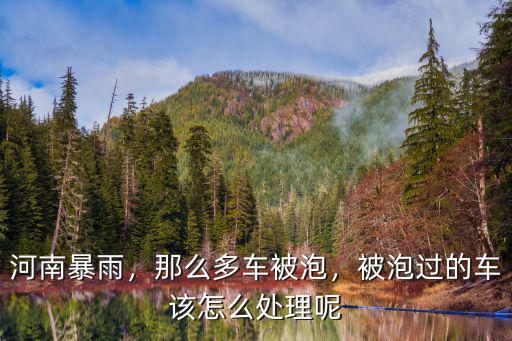 河南暴雨，那么多車被泡，被泡過的車該怎么處理呢