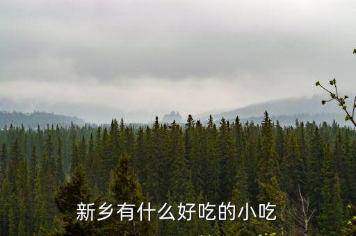新鄉(xiāng)特價名片怎么樣,新鄉(xiāng)火車站有什么特色