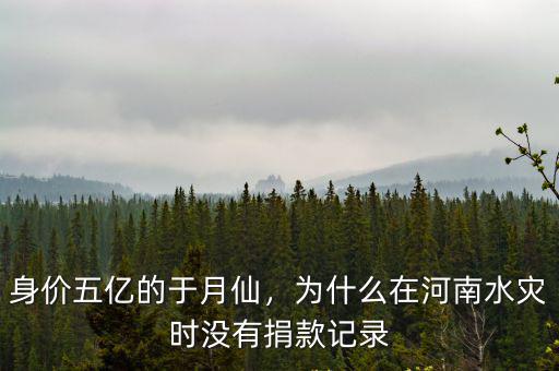身價(jià)五億的于月仙，為什么在河南水災(zāi)時(shí)沒(méi)有捐款記錄