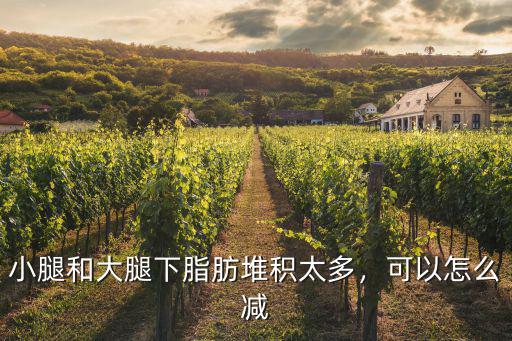 小腿和大腿下脂肪堆積太多，可以怎么減